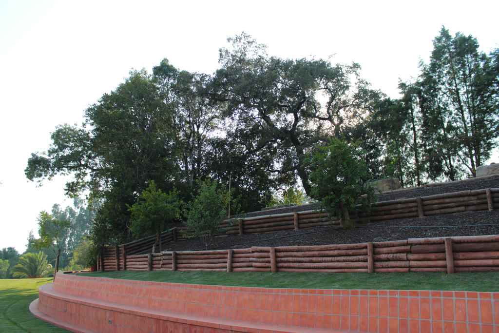 Villa Quinta de Lograssol Mealhada Exterior foto